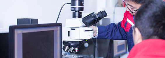 Z6·尊龙「中国」官方网站