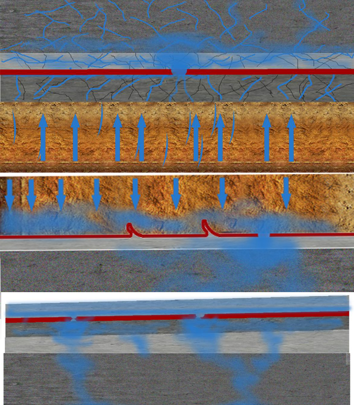 Z6·尊龙「中国」官方网站
