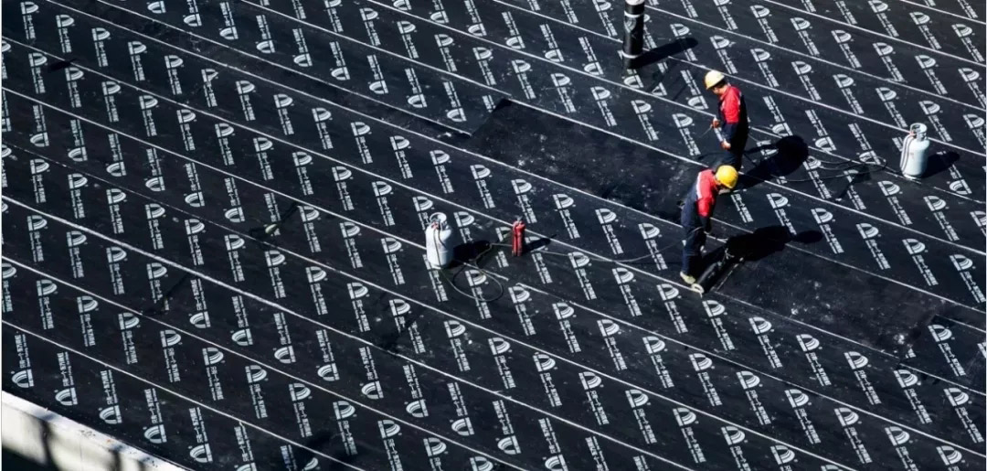 Z6·尊龙「中国」官方网站