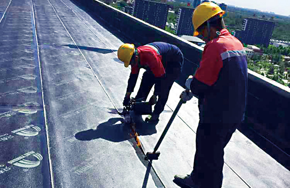 Z6·尊龙「中国」官方网站