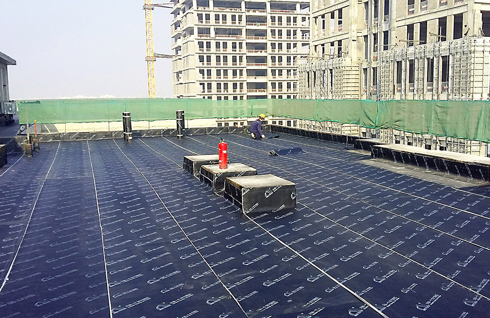 Z6·尊龙「中国」官方网站