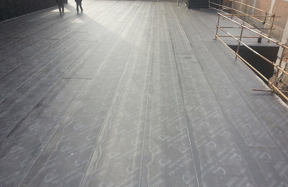 Z6·尊龙「中国」官方网站