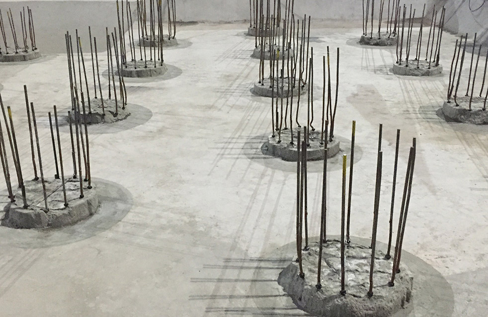 Z6·尊龙「中国」官方网站