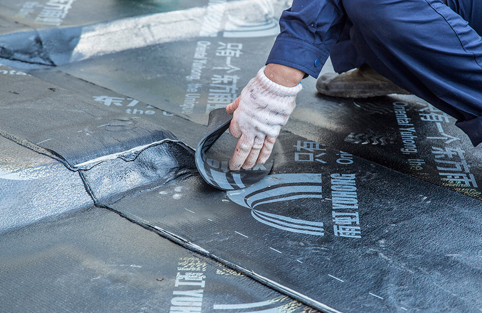 Z6·尊龙「中国」官方网站