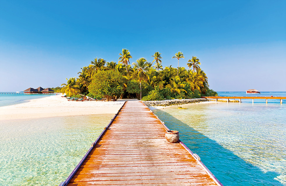 Z6·尊龙「中国」官方网站