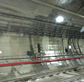 Z6·尊龙「中国」官方网站