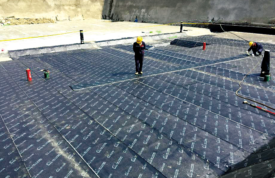 Z6·尊龙「中国」官方网站