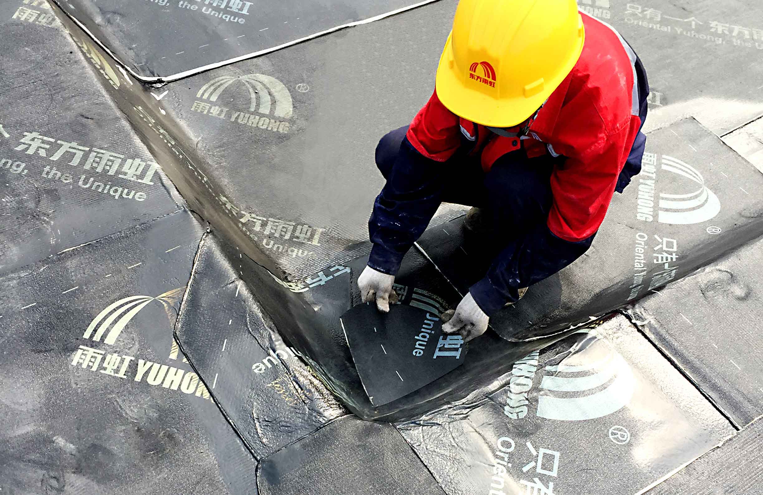 Z6·尊龙「中国」官方网站