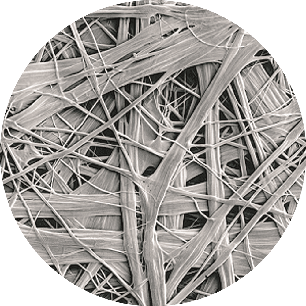 Z6·尊龙「中国」官方网站