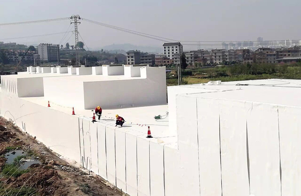 Z6·尊龙「中国」官方网站