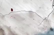 Z6·尊龙「中国」官方网站