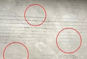 Z6·尊龙「中国」官方网站