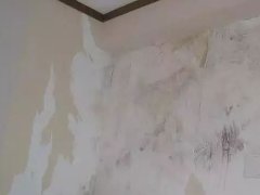 Z6·尊龙「中国」官方网站