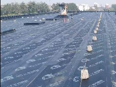 Z6·尊龙「中国」官方网站