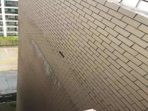 Z6·尊龙「中国」官方网站