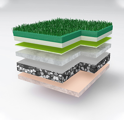 Z6·尊龙「中国」官方网站