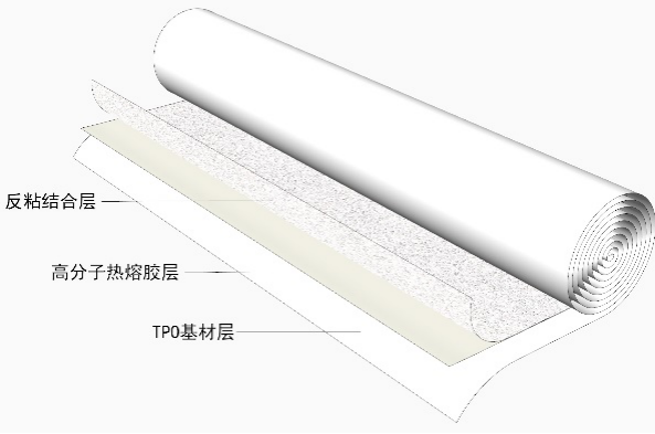 Z6·尊龙「中国」官方网站