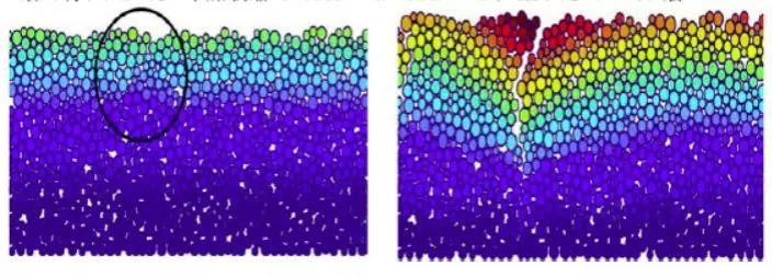 Z6·尊龙「中国」官方网站