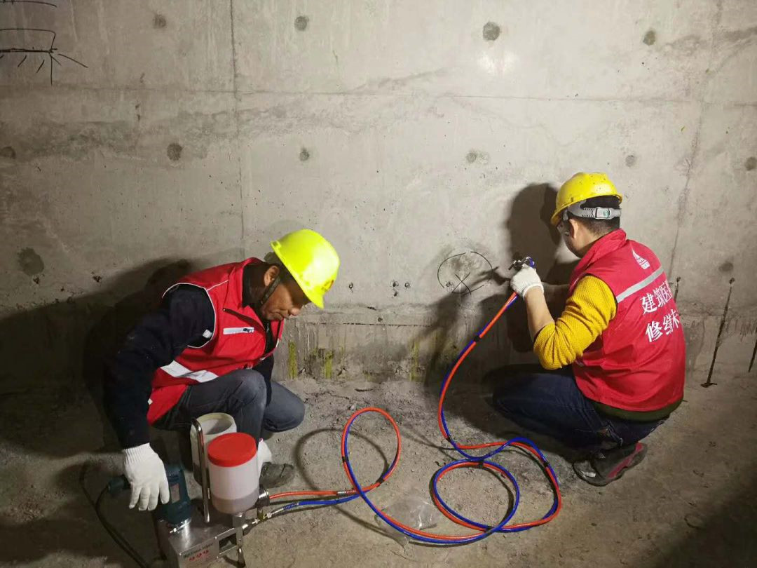 Z6·尊龙「中国」官方网站