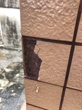 Z6·尊龙「中国」官方网站