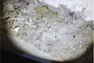 Z6·尊龙「中国」官方网站