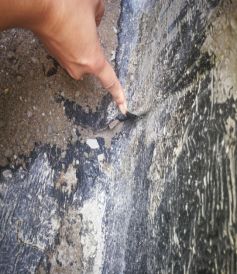 Z6·尊龙「中国」官方网站