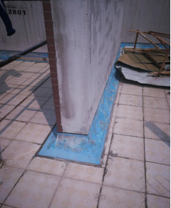 Z6·尊龙「中国」官方网站