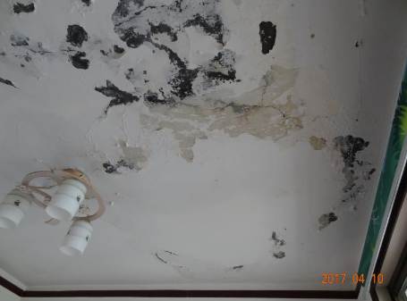 Z6·尊龙「中国」官方网站