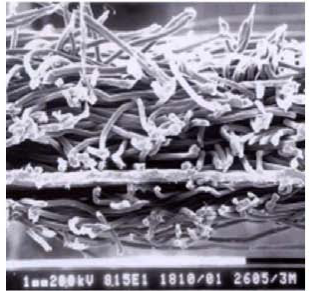 Z6·尊龙「中国」官方网站