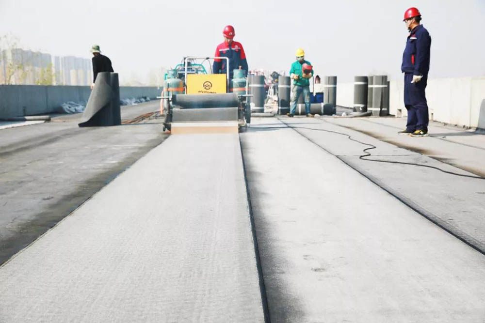 Z6·尊龙「中国」官方网站