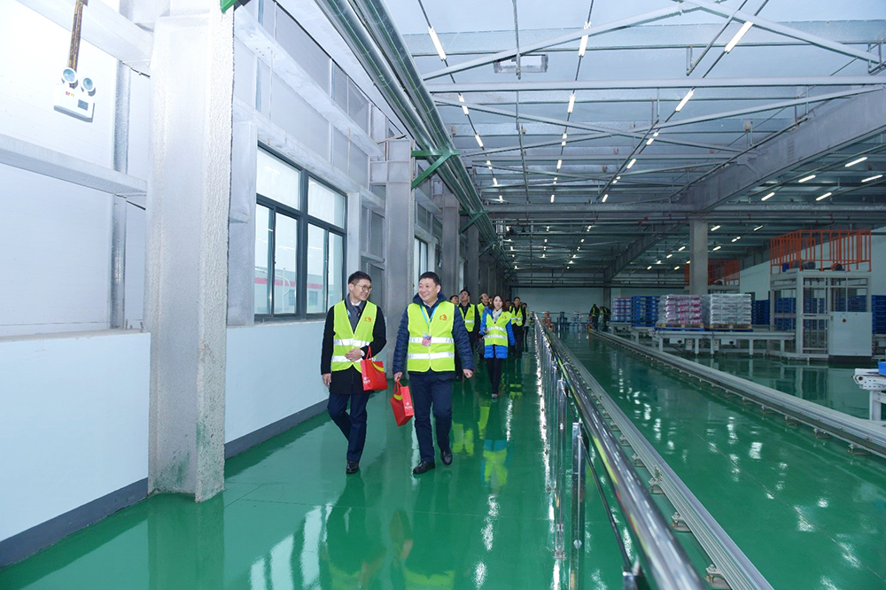 Z6·尊龙「中国」官方网站