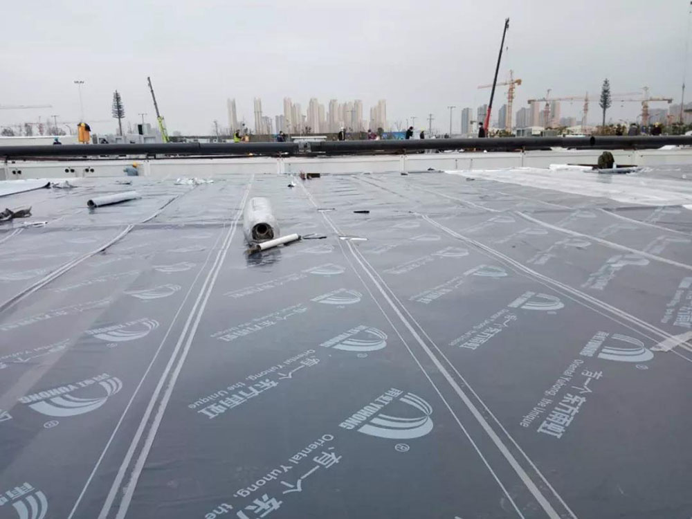 Z6·尊龙「中国」官方网站