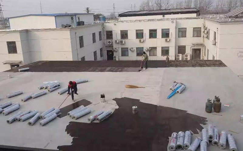 Z6·尊龙「中国」官方网站