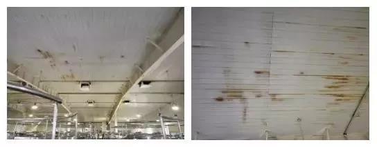 Z6·尊龙「中国」官方网站