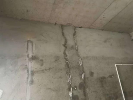 Z6·尊龙「中国」官方网站