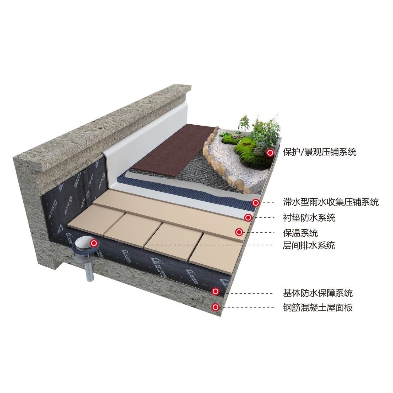 Z6·尊龙「中国」官方网站