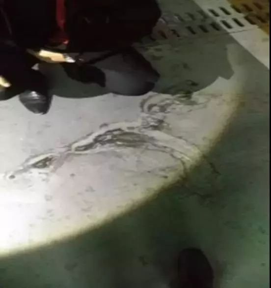 Z6·尊龙「中国」官方网站