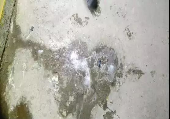 Z6·尊龙「中国」官方网站