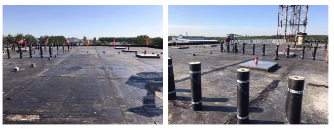 Z6·尊龙「中国」官方网站