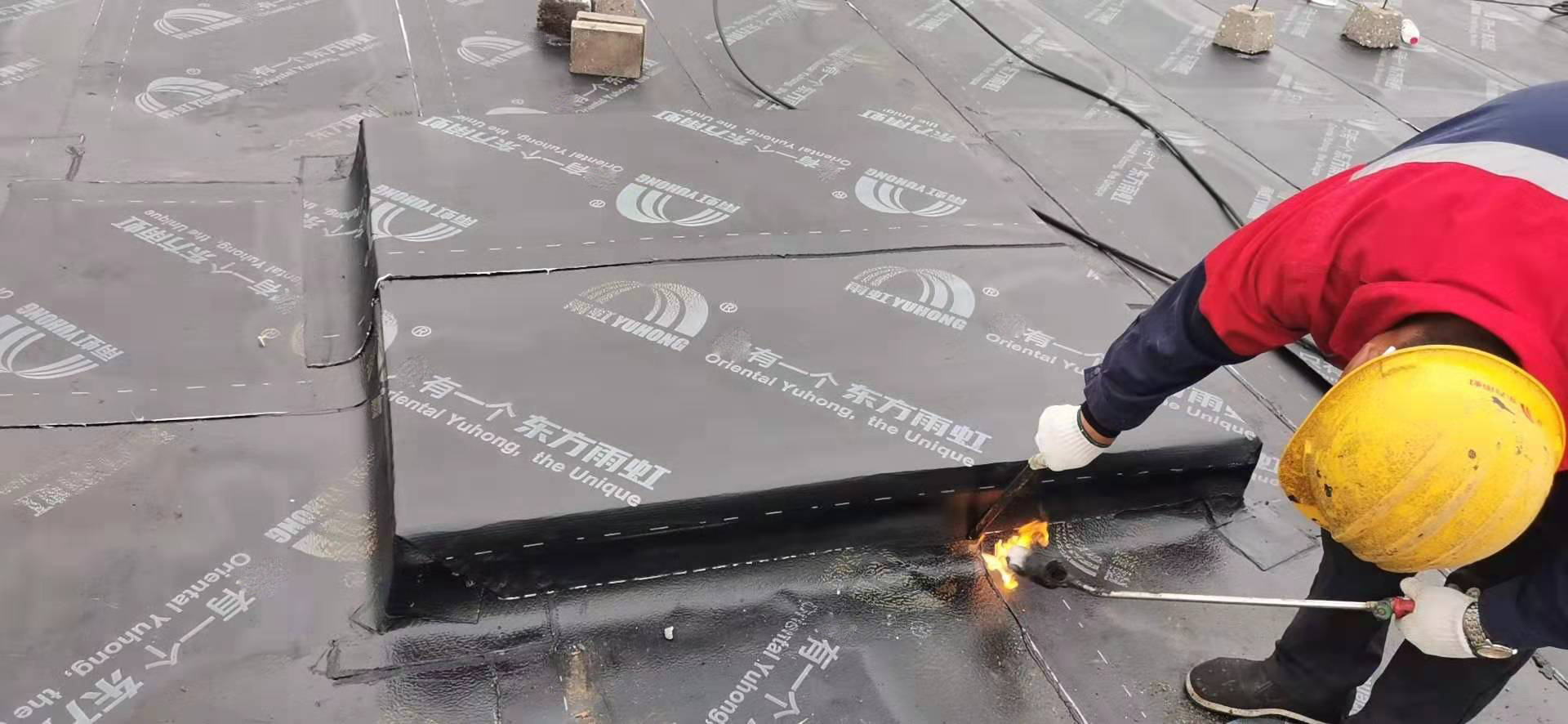 Z6·尊龙「中国」官方网站