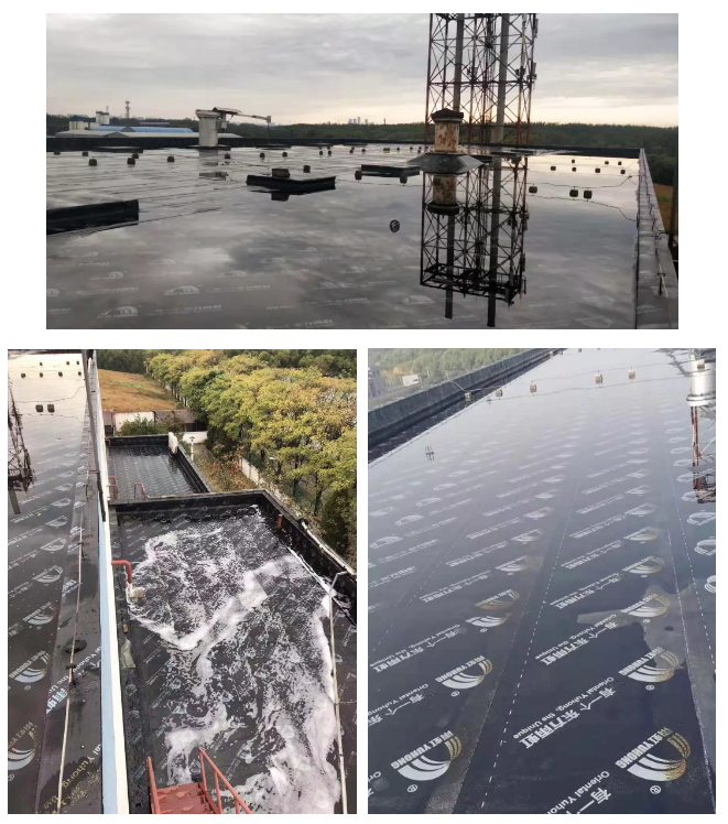 Z6·尊龙「中国」官方网站