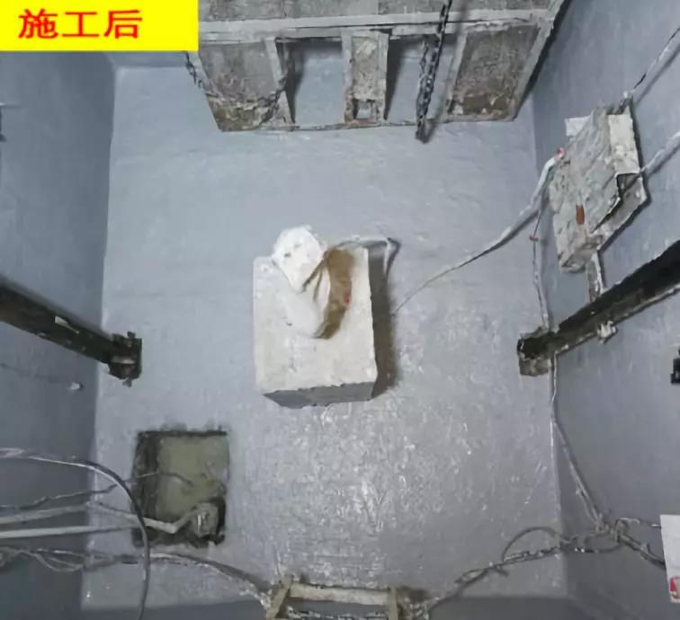 Z6·尊龙「中国」官方网站