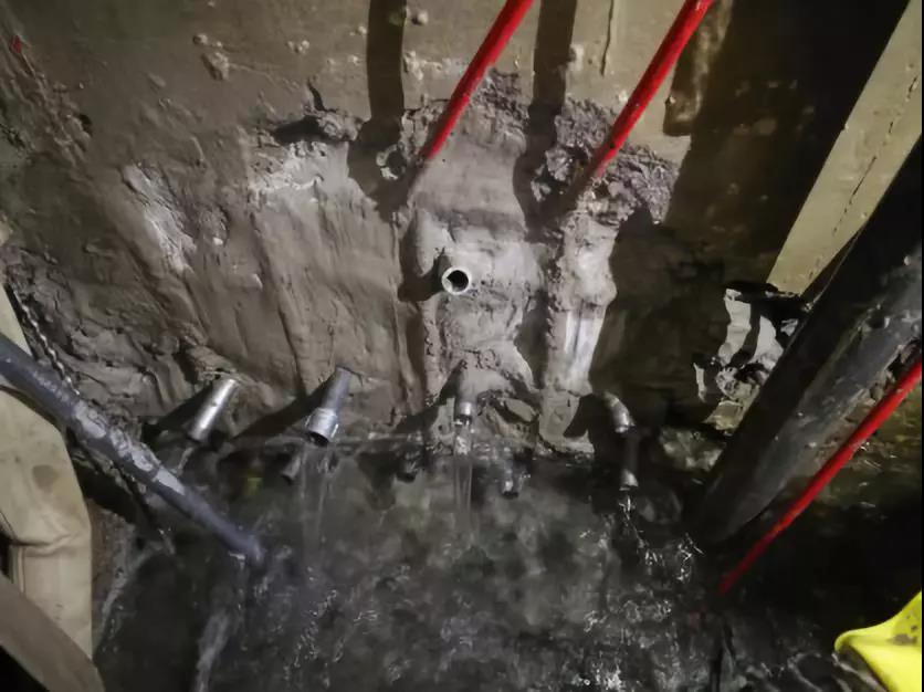 Z6·尊龙「中国」官方网站