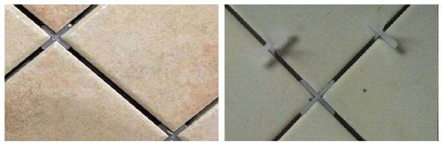 Z6·尊龙「中国」官方网站