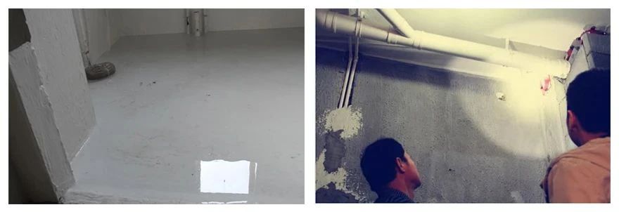 Z6·尊龙「中国」官方网站