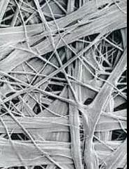 Z6·尊龙「中国」官方网站