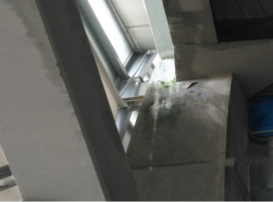 Z6·尊龙「中国」官方网站