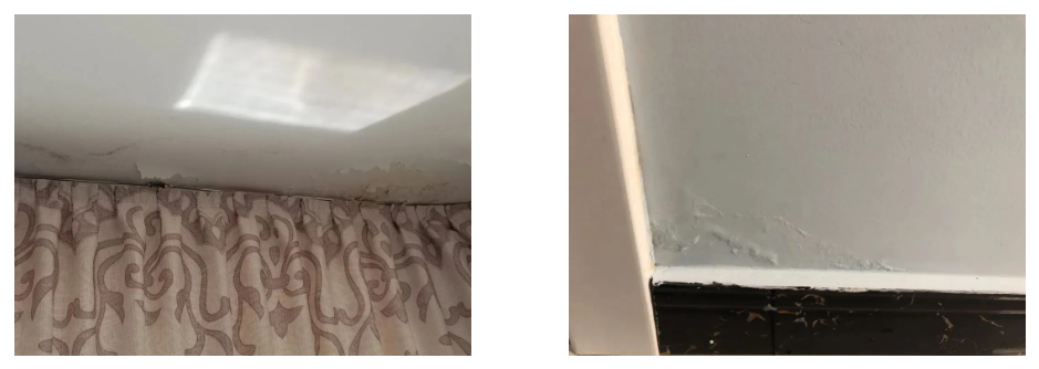 Z6·尊龙「中国」官方网站