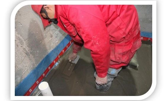 Z6·尊龙「中国」官方网站