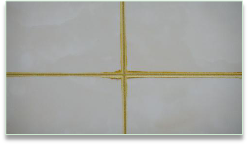 Z6·尊龙「中国」官方网站